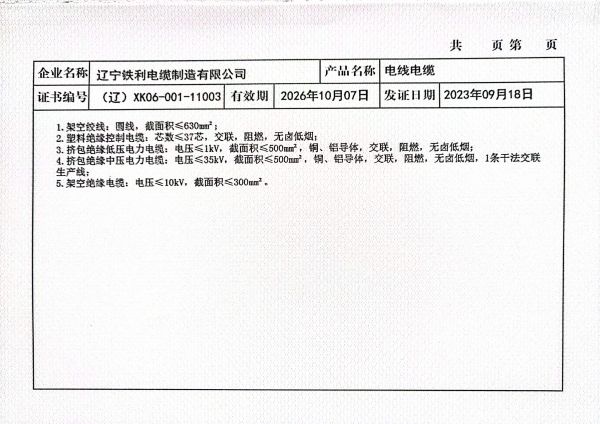 全國工業(yè)生產(chǎn)許可證  2.jpg